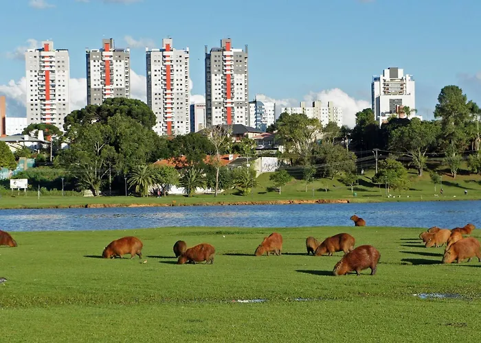 Localizacao Excelente - Proximo Parque Barigui